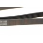 Ремінь генератора Citroen Jumper 2.8HDI 00-/Honda Accord 1.9-2.0 93-98/ Toyota Carina 2.0 96-97