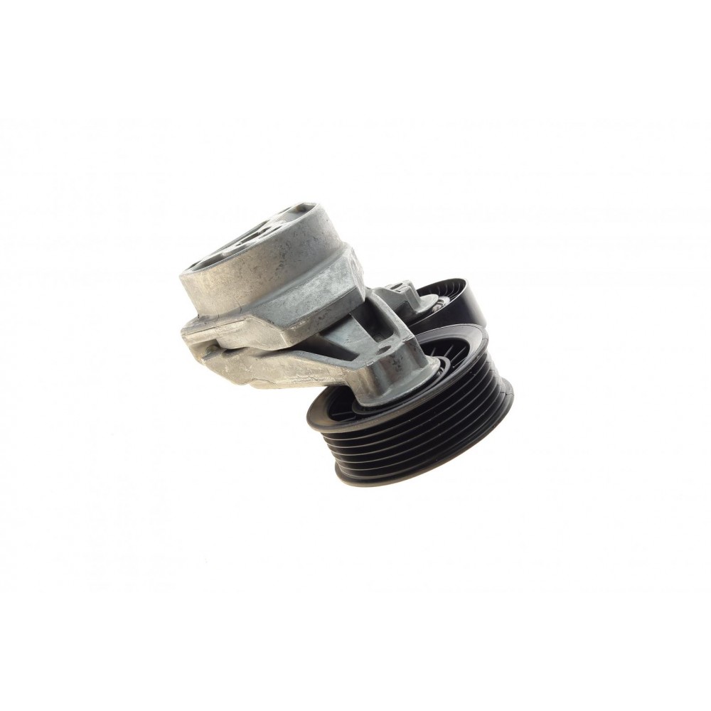 Натяжник ременя генератора Ford Focus 1.8 TDCi 04-12