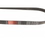 Ремінь генератора VW Caddy/Golf VIi-VIII/Passat B8/Tiguan/Touran 1.0-1.6 13-