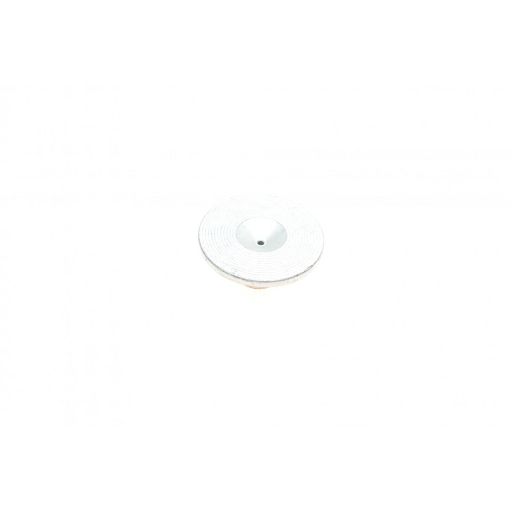 Поршень супорта (переднього) MB E-class (W211) 02-08 (31.95x26.5mm) (Brembo)