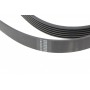 Ремінь генератора MB E-class (W124/S124) M104 93-96 (6PK2412)
