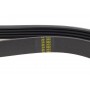 Ремінь генератора Kia Cerato/Rio 1.5-1.6 CRDI 05-11