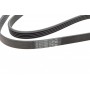 Ремінь генератора Opel Combo/Corsa/Meriva 1.2/1.4 00-/Mitsubishi Galant 2.0 96-00 (5PK1370)