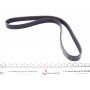 Ремінь генератора Renault Master/Opel Movano 2.5CDTI/dCi 06-
