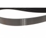 Ремінь генератора BMW 5 (F10/F11)/X3 (F25) 2.5/3.0i 09-13 (N52/N53) (8PK1786)