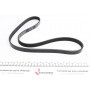 Ремінь генератора Renault Kangoo 1.4i 98-/ 1.6i 02-