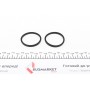 Ремкомплект супорта (заднього) MB E-class (W210) 95-03 (d=42mm) (+2 поршня) (Ate)