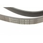 Ремінь генератора Jeep Cherokee/Liberty 2.5CRD/2.8 CRD 01-