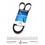 Ремінь генератора Opel Corsa D 1.2/1.4 06-14 (5PK1334)
