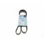Ремінь генератора Renault Kangoo 1.5 dCi/ Citroen C5/ C6/ C8/ Xantia/ XM Break 2.0-2.2 92-