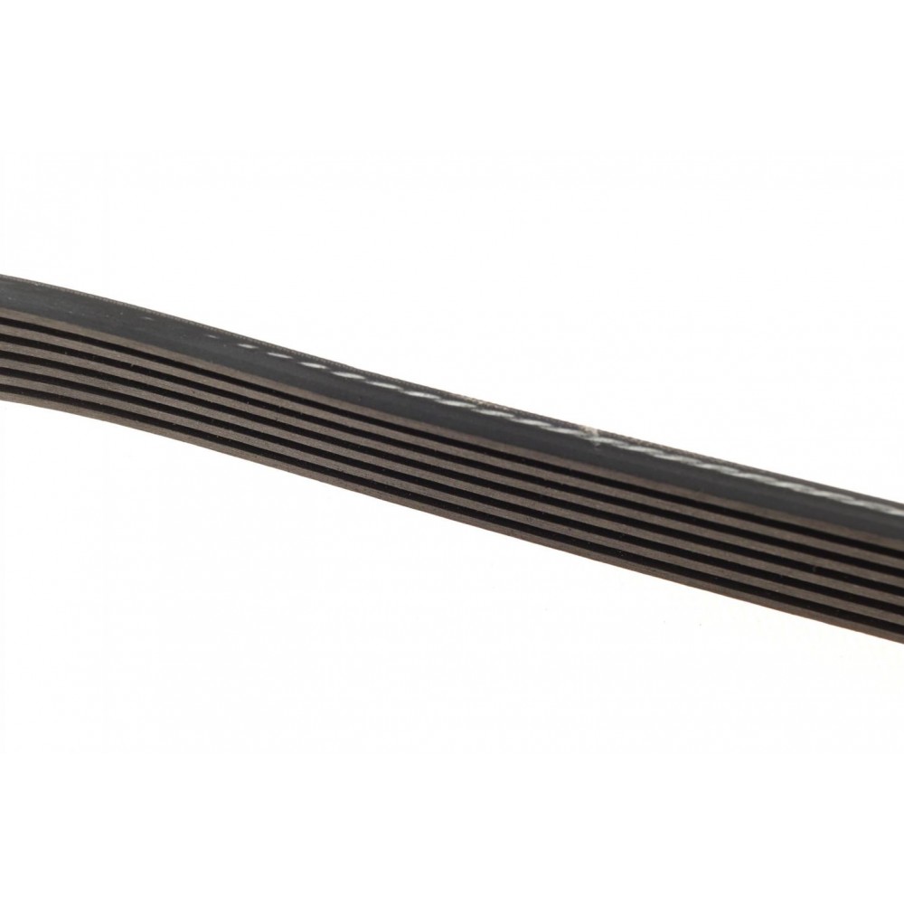 Ремінь генератора Fiat Scudo/Citroen Berlingo/VW Golf IV 1.8/1.9TDI 97- (6PK1660)