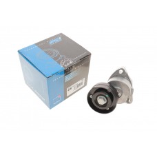 Натяжник ременя генератора Chevrolet Lacetti/Opel Combo/Astra 1.4-1.8 91-