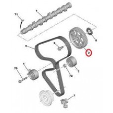 Шестерня розподільного валу Peugeot 206/ Citroen C3/C4 1.4 D 06-