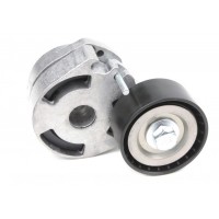 Натяжник ременя генератора Citroen Berlingo/Peugeot Partner 1.6HDi 06- (53x25)