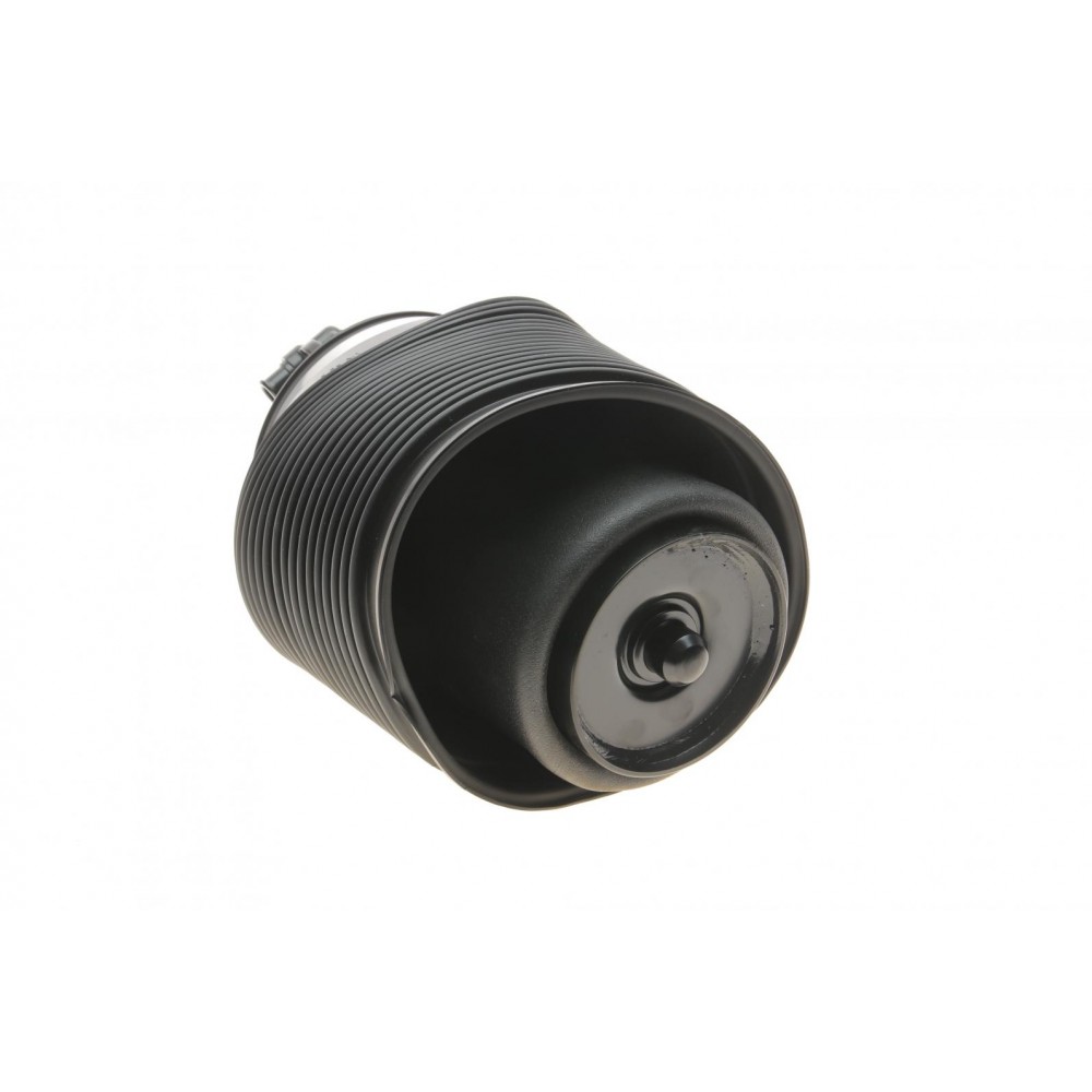 Подушка пневмопідвіски (ззаду) Toyota Land Cruiser Prado 3.0D-4D 02-10 (L)