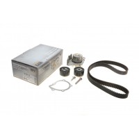 Комплект ГРМ + помпа Citroen Jumpy/Peugeot Expert 2.0HDI 00-06 (144x25.4)