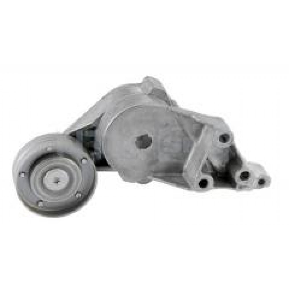 Натяжник ременя генератора VW Golf/Skoda Octavia 1.9 TDI/SDI 96-06 (70x24)
