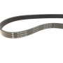 Ремінь генератора Fiat Scudo 1.6/ Renault Kangoo 1.9D 97-/ VW Golf/ Passat 1.6-2.0 90-02 (6PK894)