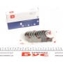 Вкладиші корінні Renault Master/Trafic 1.9dCi 01- (+0.25) = 6038022500