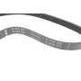 Ремінь генератора BMW 3 (E46)/5 (E39) 1.8D/2.0D 98-03 (5PK836) M47 D20