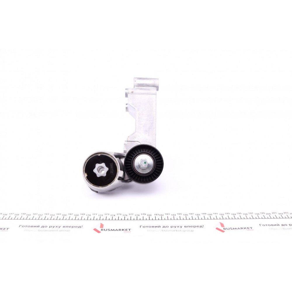 Натяжник ременя генератора Ford Connect 1.8TDCi