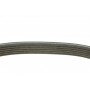Ремінь генератора VW T5 1.9TDI/VW Caddy III 1.9/2.0TDI (+AC)
