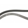 Ремінь генератора Mitsubishi Lancer 08-/Outlander 1.8-2.4 06-12 (6PK2625)