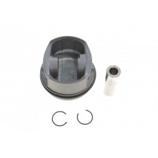 Поршень VW Passat/Golf 1.6 95-04 (81.01mm/STD)