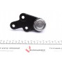 Опора кульова (передня/знизу/R) Ford Kuga I/II 08- (d=21mm)