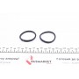 Ремкомплект супорта (переднього) Audi A6 11- (d=42mm) (+2 поршня) (Ate)
