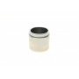 Поршень супорта (заднього) Mitsubishi Lancer/Mazda MX5 -05 (d=51mm)