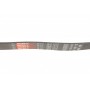 Ремінь генератора Opel Astra G/H/ Combo/Corsa C/Meriva A 1.7CDI 04-