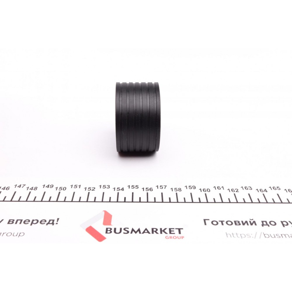 Ролик ГРМ Renault Kangoo 1.6i/Megane 1.4i/1.6i 16V 01- (паразитний) (54х32)