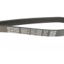 Ремінь генератора Opel Movano 2.8DTI 98-02 AC/Renault Master 2.5D/2.8DTI 98-01 (ALT, AC)