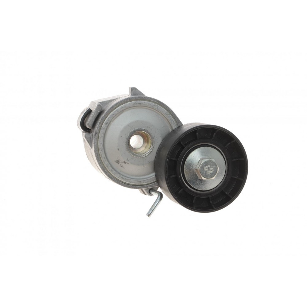 Натяжник ременя генератора Ford Mondeo IV/Peugeot 407 2.0TDCi/2.2 HDi 06-