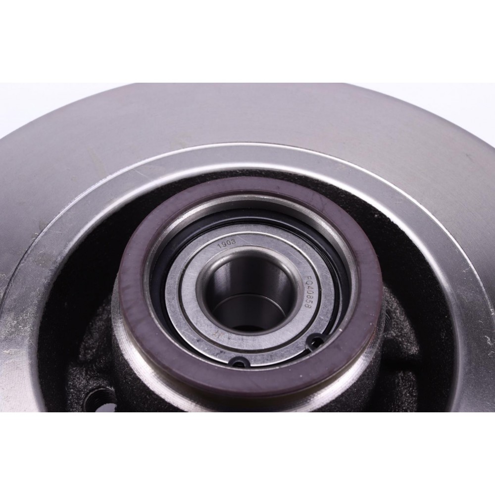 Диск гальмівний (задній) Renault Clio 05-/Megane 02- (240х8) (+ABS) (з підшипником) (+ESP) (повний)