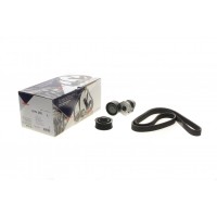 Комплект ременя генератора Nissan Qashqai/Renault Clio/Kangoo/Dacia Dokker/Duster/Logan 12-