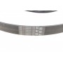 Ремінь генератора Ford Fiesta/Focus 1.4/1.6i 16V 01-12 (6PK1019 ELAST+5PK690 ELAST)