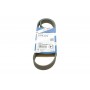 Ремінь генератора поліклиновий Peugeot Partner/307/508 02-/Citroen Berlingo/C2/C3/C4/C5 1.6 HDi 04- (6PK976)