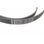 Комплект ременя генератора + помпа Audi A1/A3/Seat Ibiza/Skoda Octavia 1.4/1.6 02-