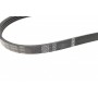 Ремень генератора BMW 3 (E46)/X3 (E83) 01-07/Fiat Stilo 1.6 16V 01-08 (4PK917) (M47)