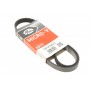Ремінь генератора Fiat Ducato 1.9D/TD/Peugeot 106 1.5D 94-04/Mitsubishi Lancer/Space Star 1.3 98-04