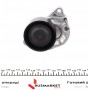Натяжник ременя генератора Renault Megane 1.6dCi 11-