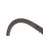 Комплект ГРМ Peugeot Expert/ Citroen Jumpy/Fiat Scudo 2.0D 10- (25.4x116)