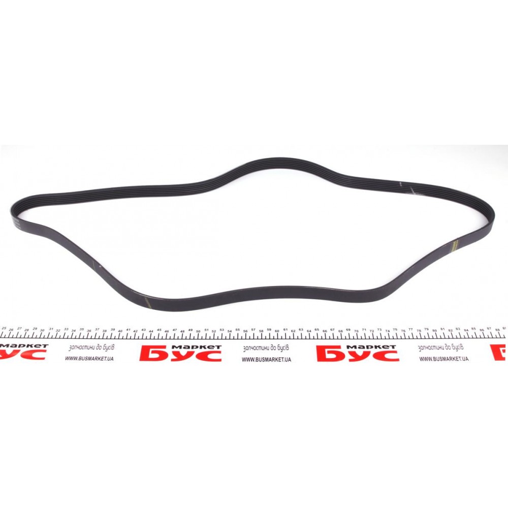 Ремінь генератора BMW 3 (E46)/Fiat Scudo 1.9D/VW Caddy III/ Golf V/Passat 1.4/1.6FSI (6PK1733)