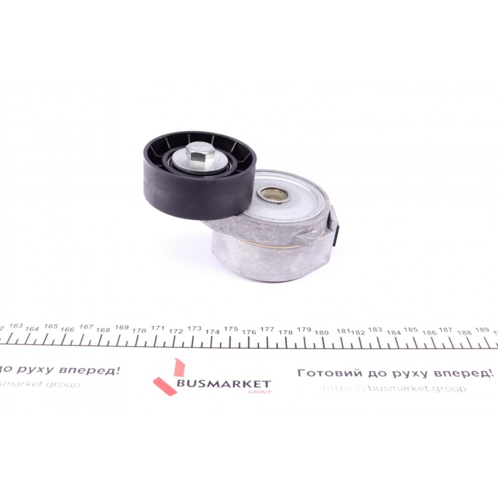 Натяжник ременя генератора Ford Mondeo IV/Peugeot 407 2.0TDCi/2.2 HDi 06-