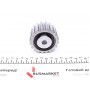Ролик ГРМ Renault Kangoo/Master II/Megane 1.9D/dTi/dCi 97-, (60.6x31/z=20)