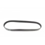 Ремінь генератора Citroen Berlingo/Peugeot Partner 1.6HDI/ Ford Fiesta/ Focus 1.4-1.6 TDCi 01-