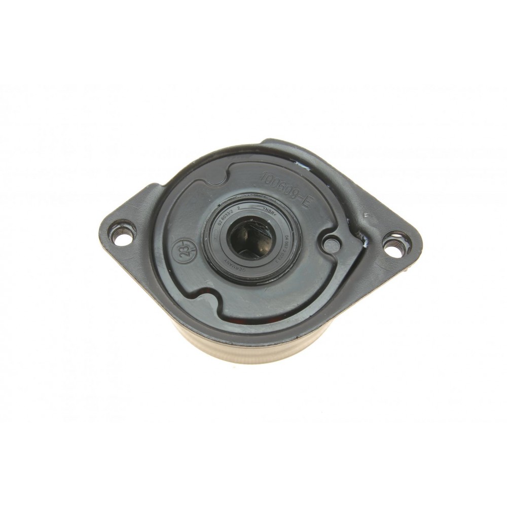 Натяжник ременя генератора BMW 3 (E46) 3.0D 99-, M57 D25/D30