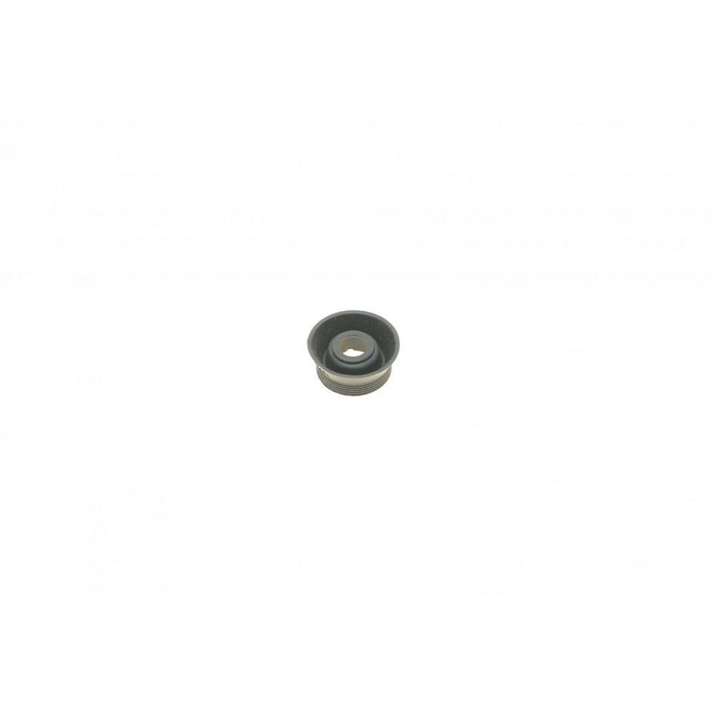 Манжет штока супорта (заднього) VW Golf/Passat 83-99 (d=38mm) (Girling)